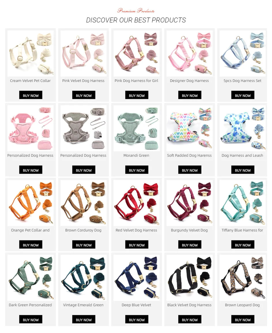 Pysinożek™ | Zestaw Light Coffee Velvet – szelki, smycz, obroża i kokarda dla psa i kota