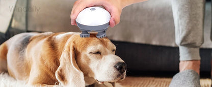 Pysinożek™ | Elektryczny masażer głowy i ciała – relaks dla psa, kota i opiekuna